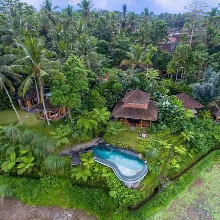 Bed and Breakfast Dewi Tara Haven à Payangan Extérieur photo