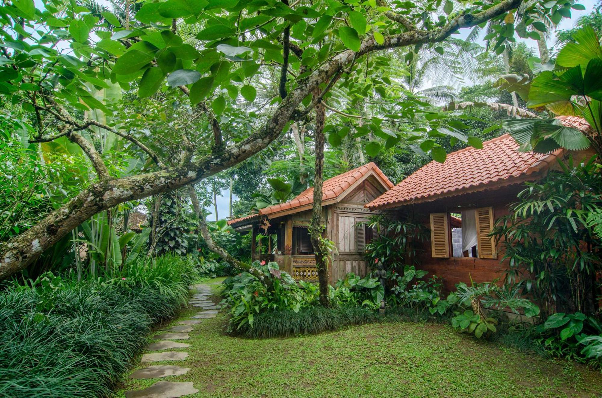 Bed and Breakfast Dewi Tara Haven à Payangan Chambre photo