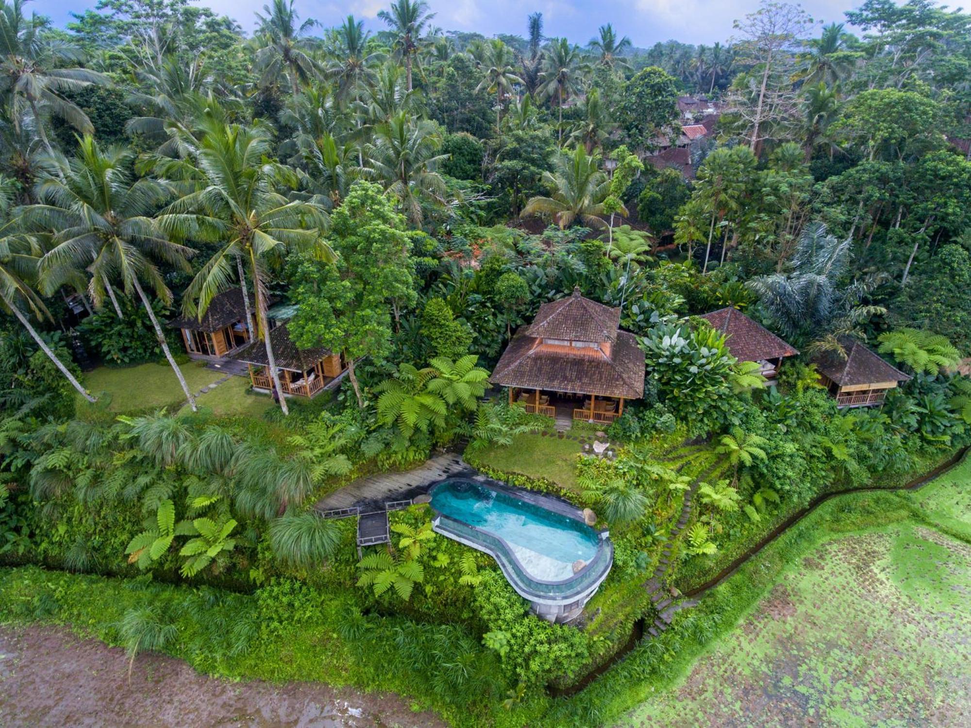 Bed and Breakfast Dewi Tara Haven à Payangan Extérieur photo
