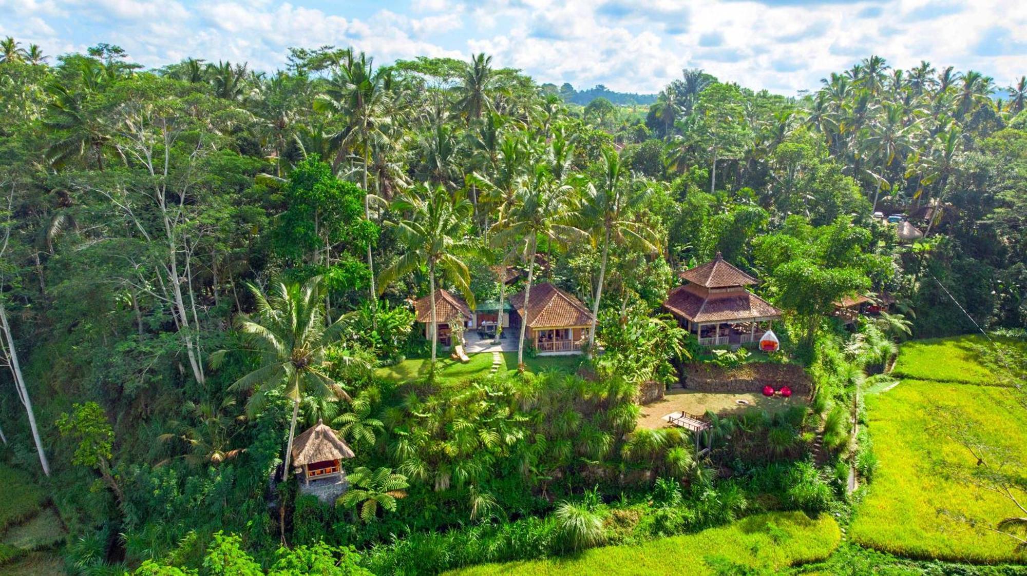 Bed and Breakfast Dewi Tara Haven à Payangan Extérieur photo