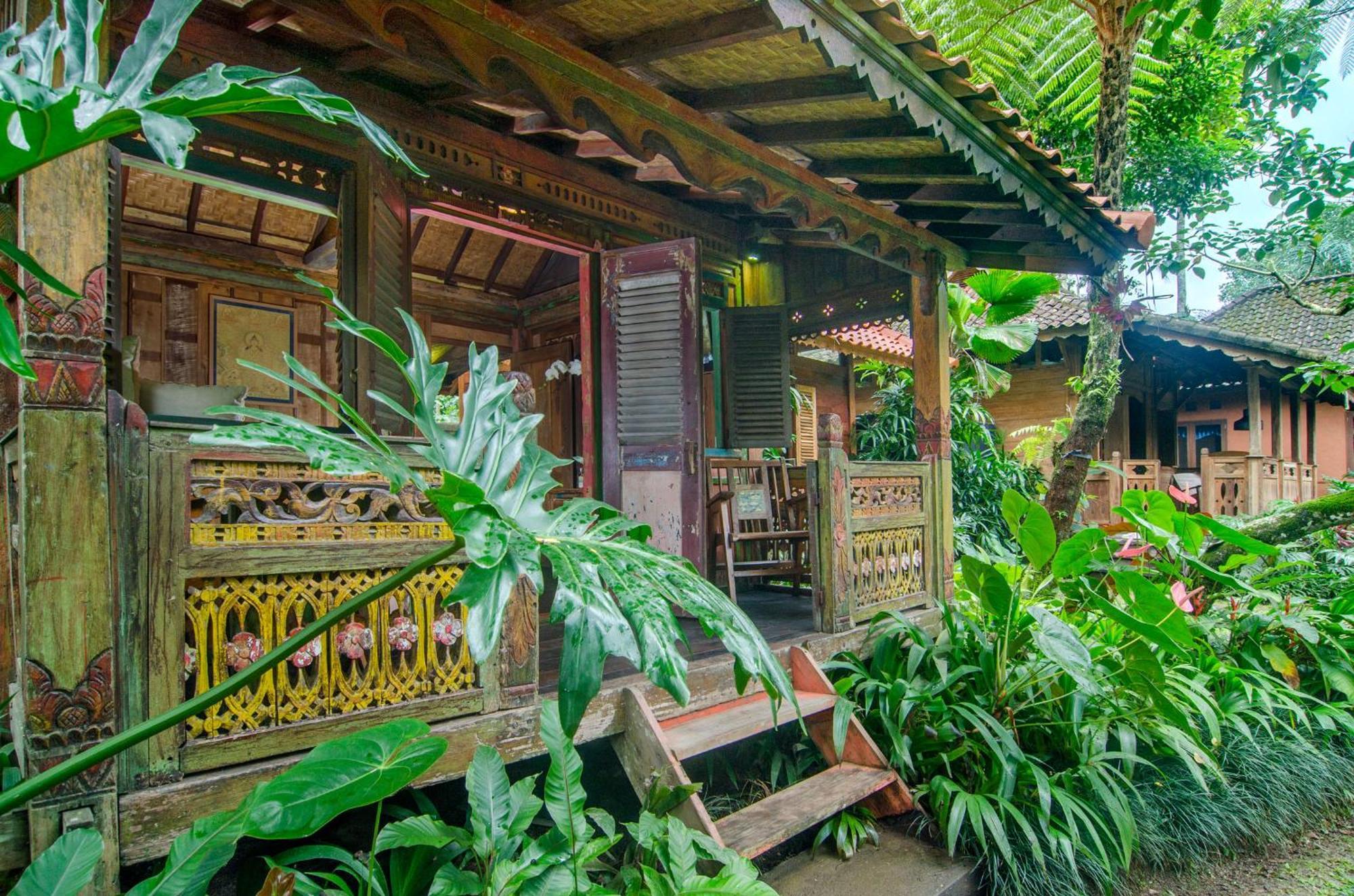 Bed and Breakfast Dewi Tara Haven à Payangan Chambre photo