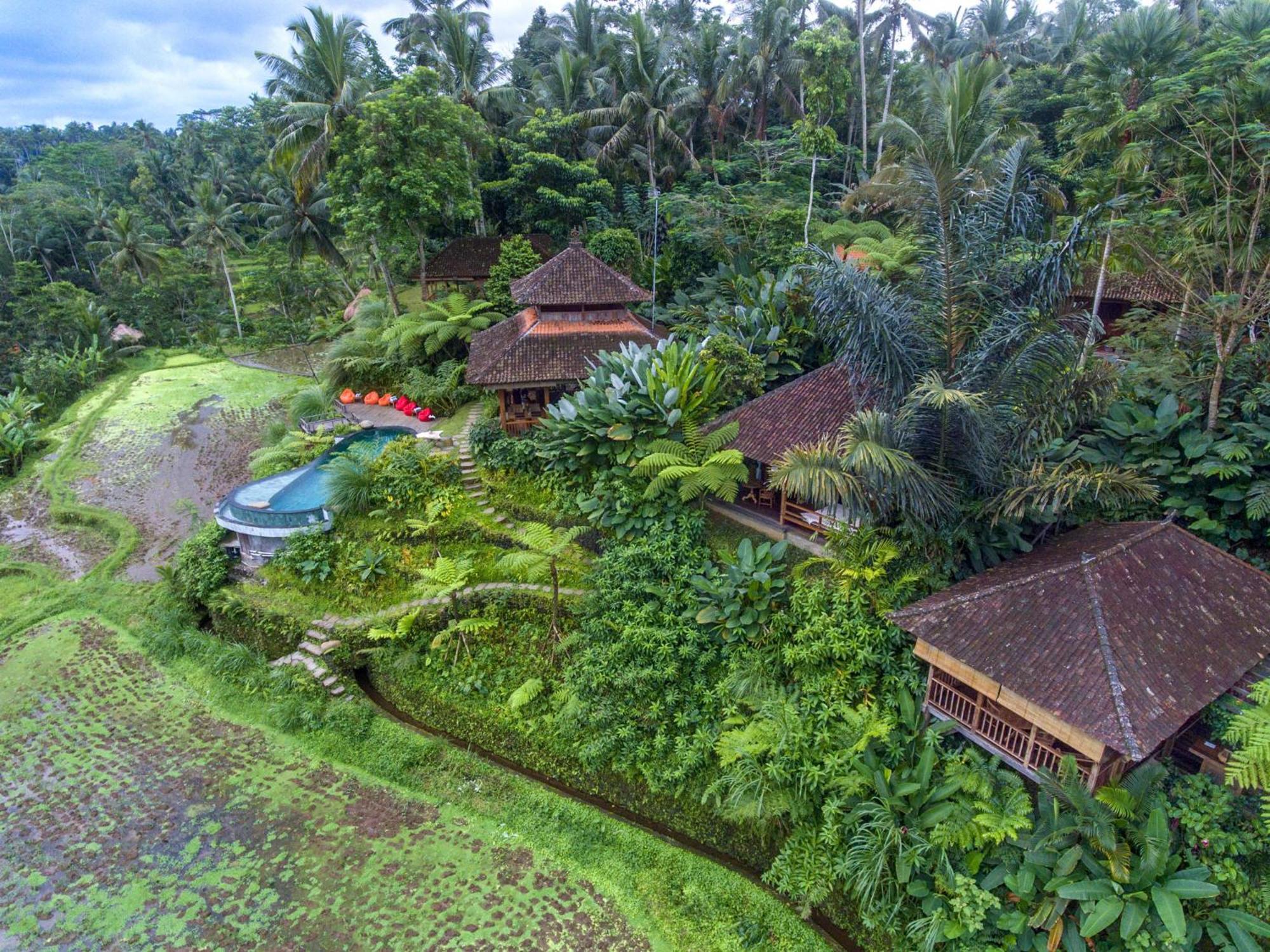 Bed and Breakfast Dewi Tara Haven à Payangan Chambre photo