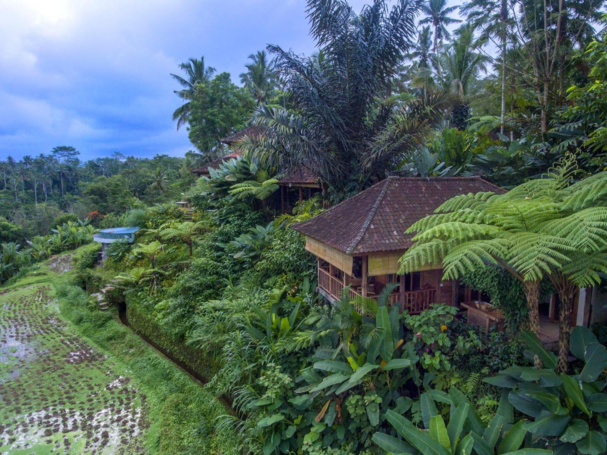 Bed and Breakfast Dewi Tara Haven à Payangan Chambre photo
